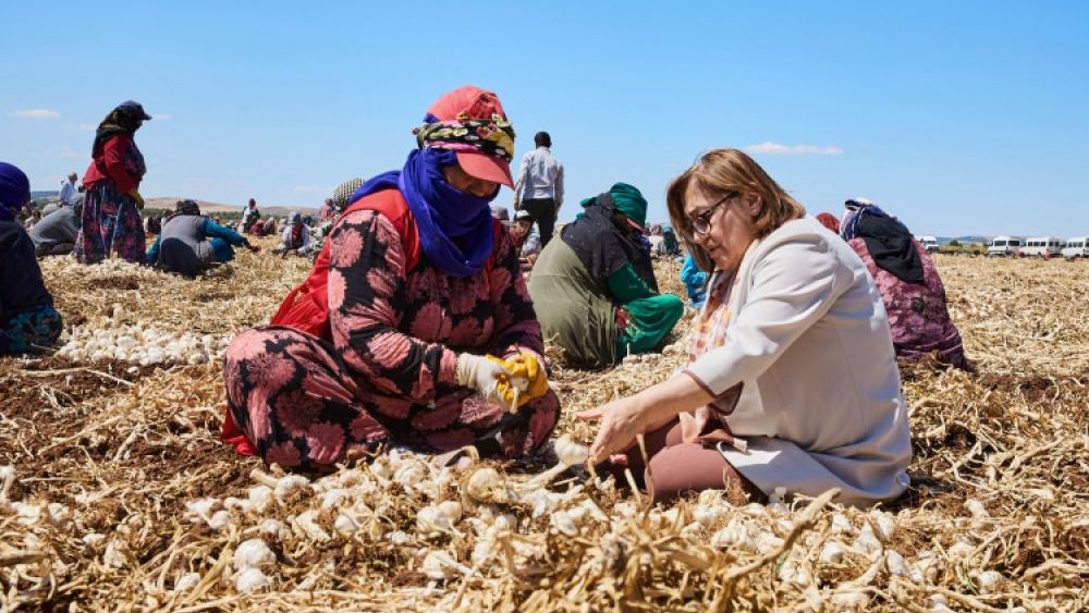 Büyükşehir Çiftçi İle Tüketiciyi Buluşturacak